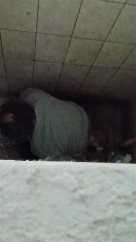 Ass Wipping ThisVid
