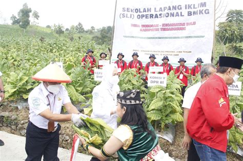 Tingkatkan Keterampilan Petani Pahami Iklim Bmkg Gelar Sli Operasional