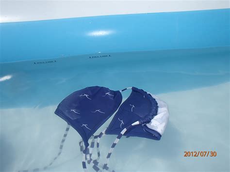 Lost Bikini Top Bikini Top Lost Bikini Top Hot Tamil Actress Bikini