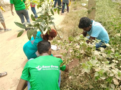 Save Green Tree Plantation Ngo Tree Planting Ngos Tree Plantation