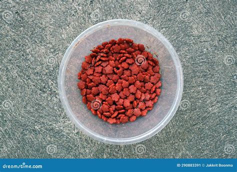 A Dry Cat Food In Plastic Container On Cement Grounds For Pet Eatting