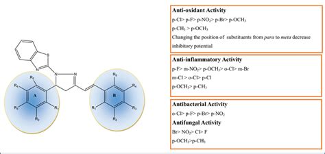 Structure Activity Relationships Of Synthesized Download Scientific Diagram