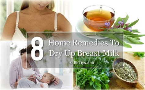 8 Home Remedies To Dry Up Breast Milk Safely And Quickly Best Homemade Tips