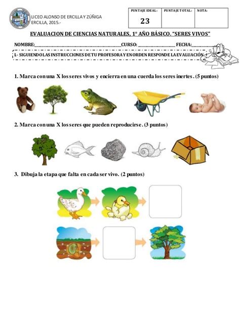 Evaluación Ciencias Naturales Primero Básico