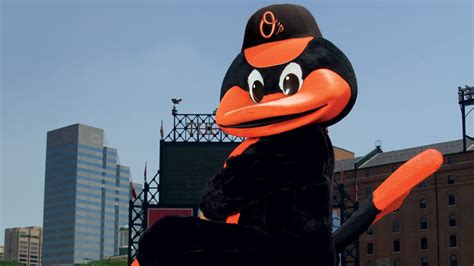 The Oriole Bird | Baltimore Orioles