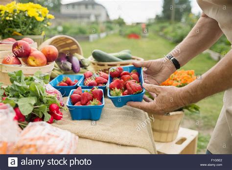 Farmers Market Stock Photos And Farmers Market Stock Images Alamy