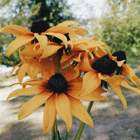 Thoughts On Aging Gracefully — Domestic Fashionista