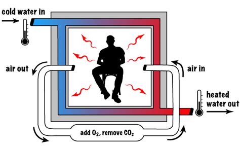 Energy Expenditure Measurement Using Direct Calorimetry