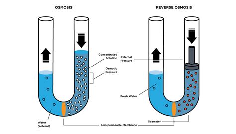 Todo sobre la ósmosis y la ósmosis inversa aplicaciones y ventajas