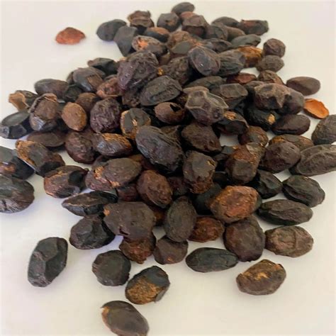 Cüce Palmiye Tohumu Saw Palmetto 50 gr Doğal İlaçsız Yenilebilir Ege