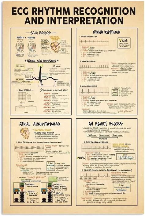 Amazon Jiufotk Electrocardiogram Knowledge Metal Tin Signs