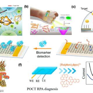 General Schematic Of Different Components Of A Wearable Biosensor A