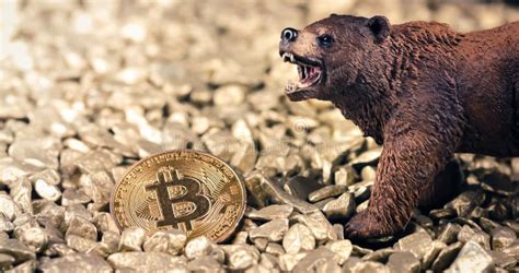 Bitcoin Crypto Bear Market Concept Stock Photo Image Of Bear Gold