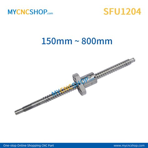 Anti Backlsh Ballscrew RM1204 SFU1204 150 200 250 300 350 400 450 500