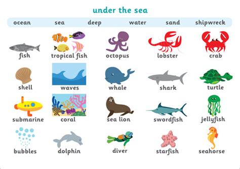 Early Learning Resources Under The Sea Word Mat Forest School