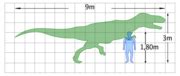 Category:Tyrannosauridae size comparisons - Wikimedia Commons