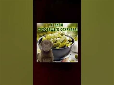 Без рофлоф, сегодня правда день хрустящего огурчика - YouTube