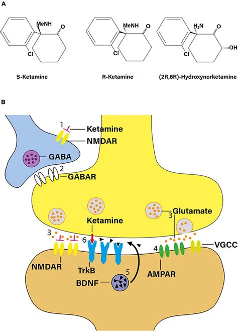 Ketamine As A Novel Antidepressant A Structural Formula Of