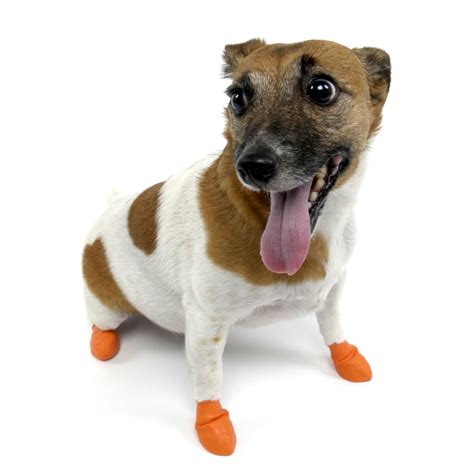 Pawz Natural Rubber Dog Boots - The Green Head