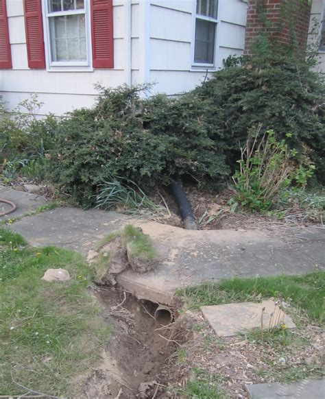 Princeton Nature Notes Frontyard Raingarden