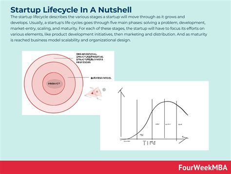 What Is The Startup Lifecycle Startup Lifecycle In A Nutshell Fourweekmba