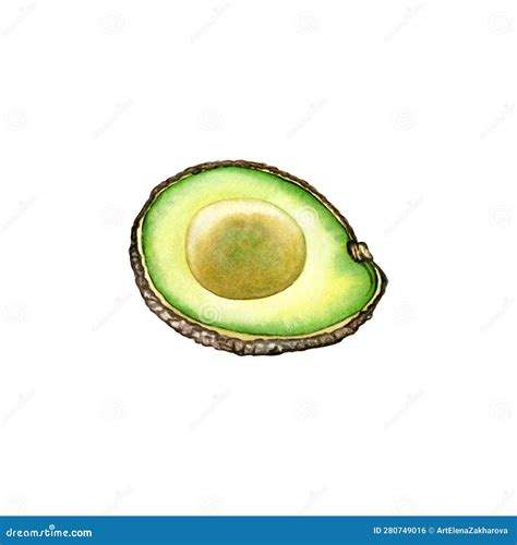 Dibujo De Aguacate Maduro Avocado Verde Frutos Nutritivos Sanos Alimentos Naturales Y Acuarelas