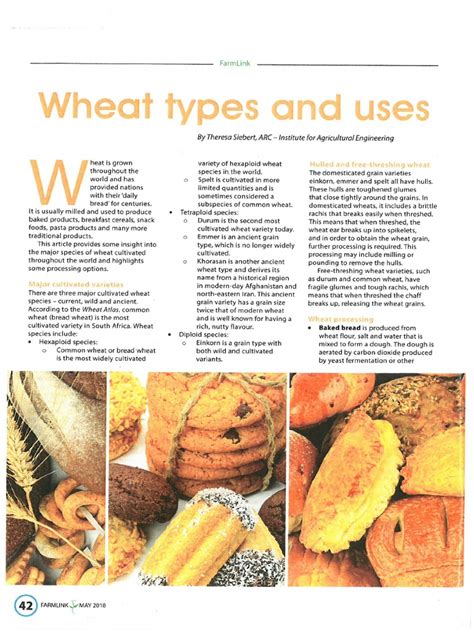 Wheat Types And Uses Pdf