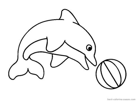 Dolphin Outline - ClipArt Best