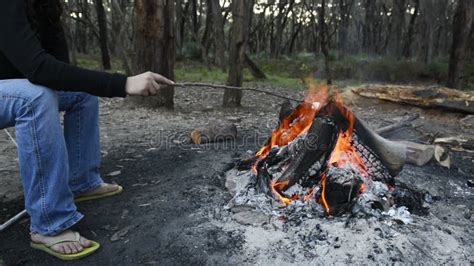 Roasting Marshmallows Over Fire Stock Footage Video Of High Camp