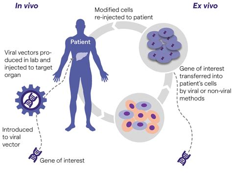 Cell And Gene Therapy Lonza