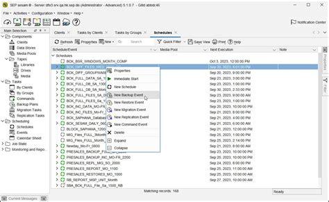 Sep Sesam Configuration First Steps Sepsesam