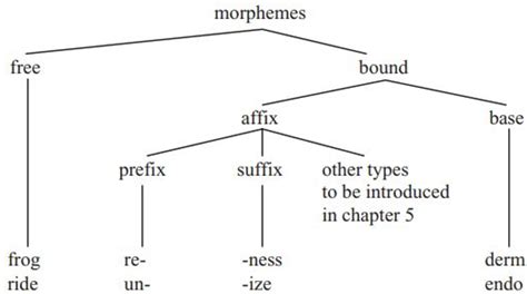 Kinds Of Morphemes