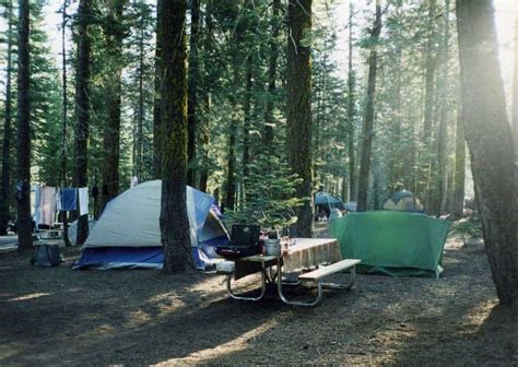 Yosemite Creek Campground Yosemite National Park