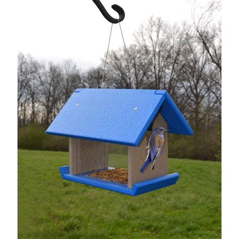 Best Starling Proof Bluebird Feeders 2023 Buyers Guide