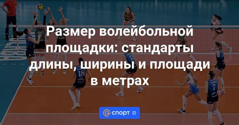 Размер волейбольной площадки в метрах: какая стандартная длина и ширина ...