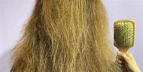 Dry Hair: Causes and Treatments - Hydrate Salon
