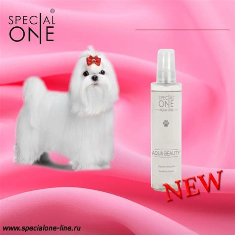 AQUA BEAUTY — Special One - Рoccия