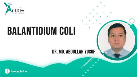 Parasitology Balantidium Coli Youtube