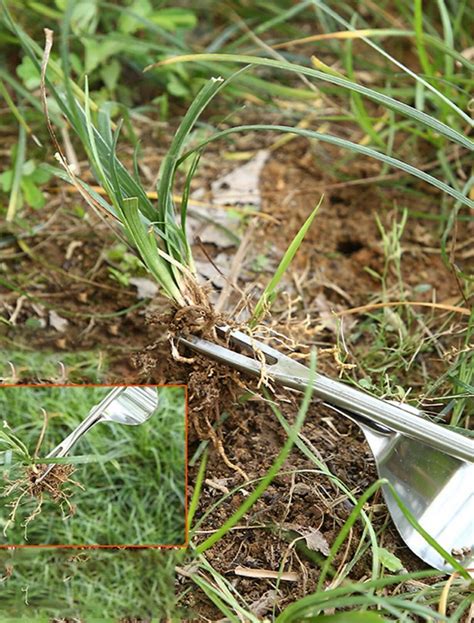 Household Stainless Steel Weeding And Digging Weeds And Wild Vegetables