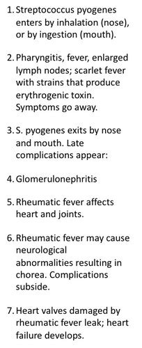 Respiratory System Infections Flashcards Quizlet