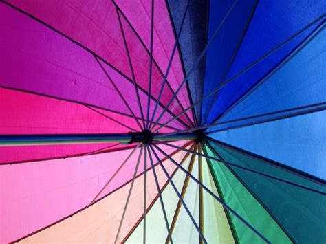 Free Images Wing Umbrella Colourful Color Fashion Accessory