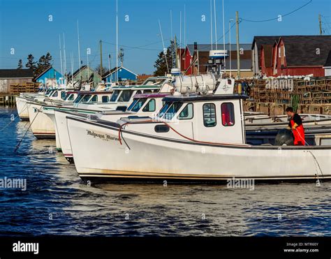 Lobster Trap Setting Day From The Wharf In Malpaque Prince Edward