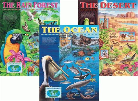 ecosystems  chart set