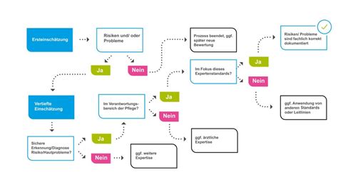 Expertenstandard Erhaltung und Förderung der Hautintegrität