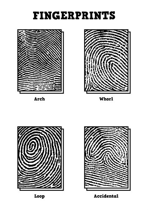 Fingerprint Detective Worksheet Pdf For Free At Artofit