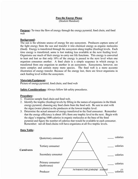 Ecological Pyramids Packet Answer Key