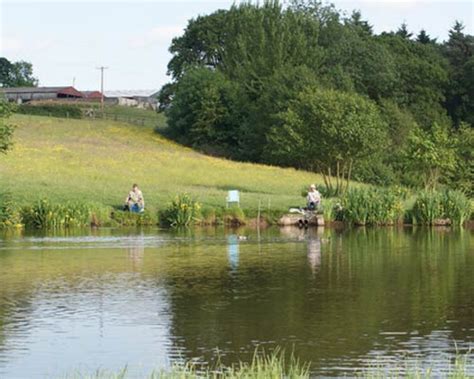 Coarse Fishing | 4 fully stocked Fishing Lakes | Goose Green Farm