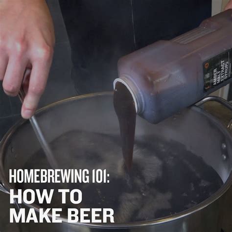 Homebrewing 101 How To Make Beer Course