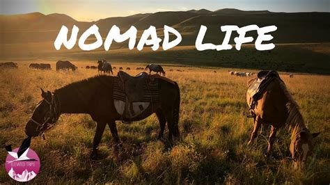 Nomad Life Video - Elevated Trips