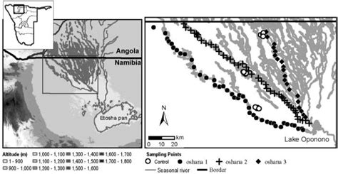 Sampling spots from 3 major oshanas. (oshana 1= 40, oshana 2= 42 ...